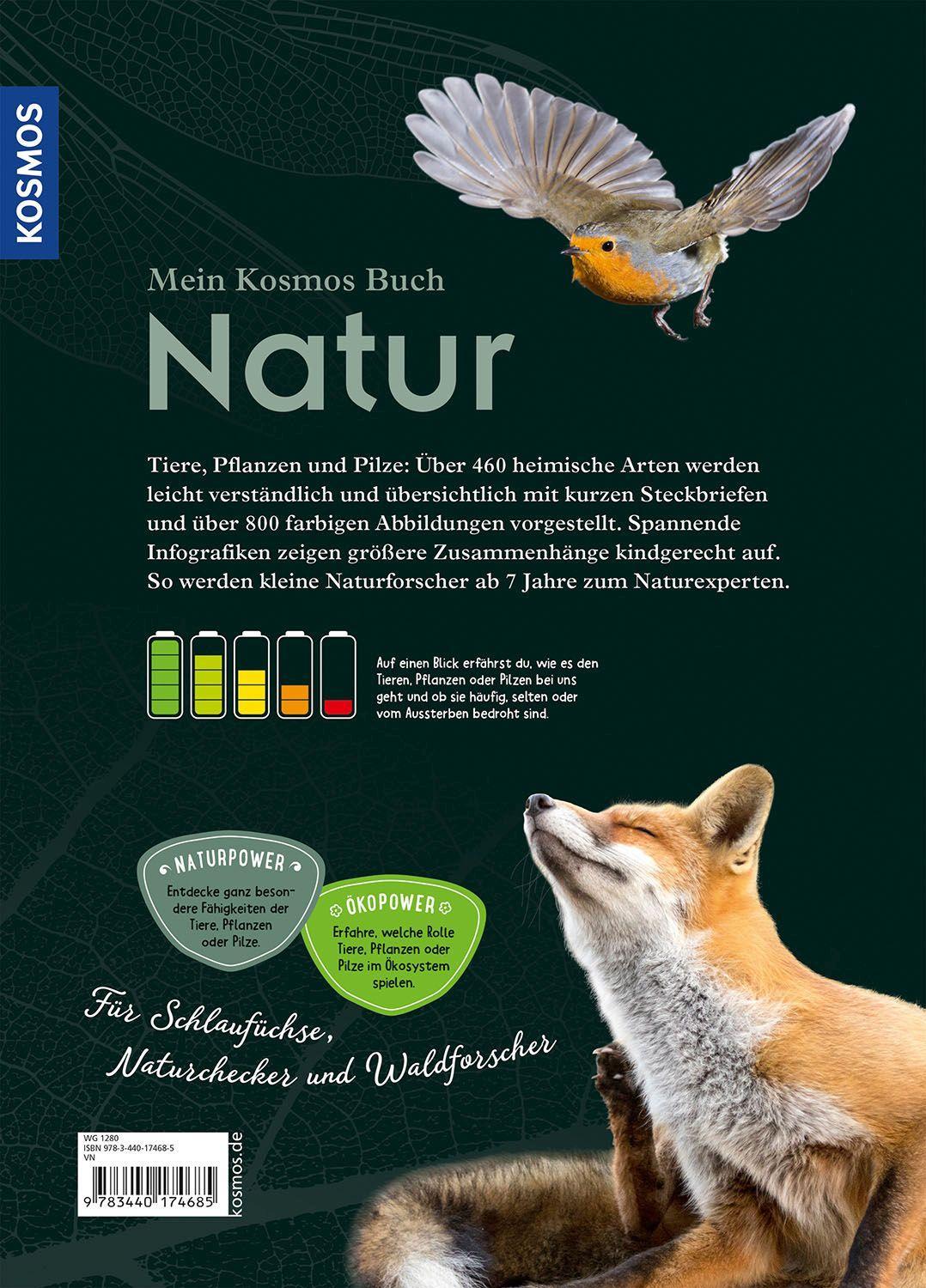 Beispielinhalt (Bild) Mein Kosmos-Buch Natur