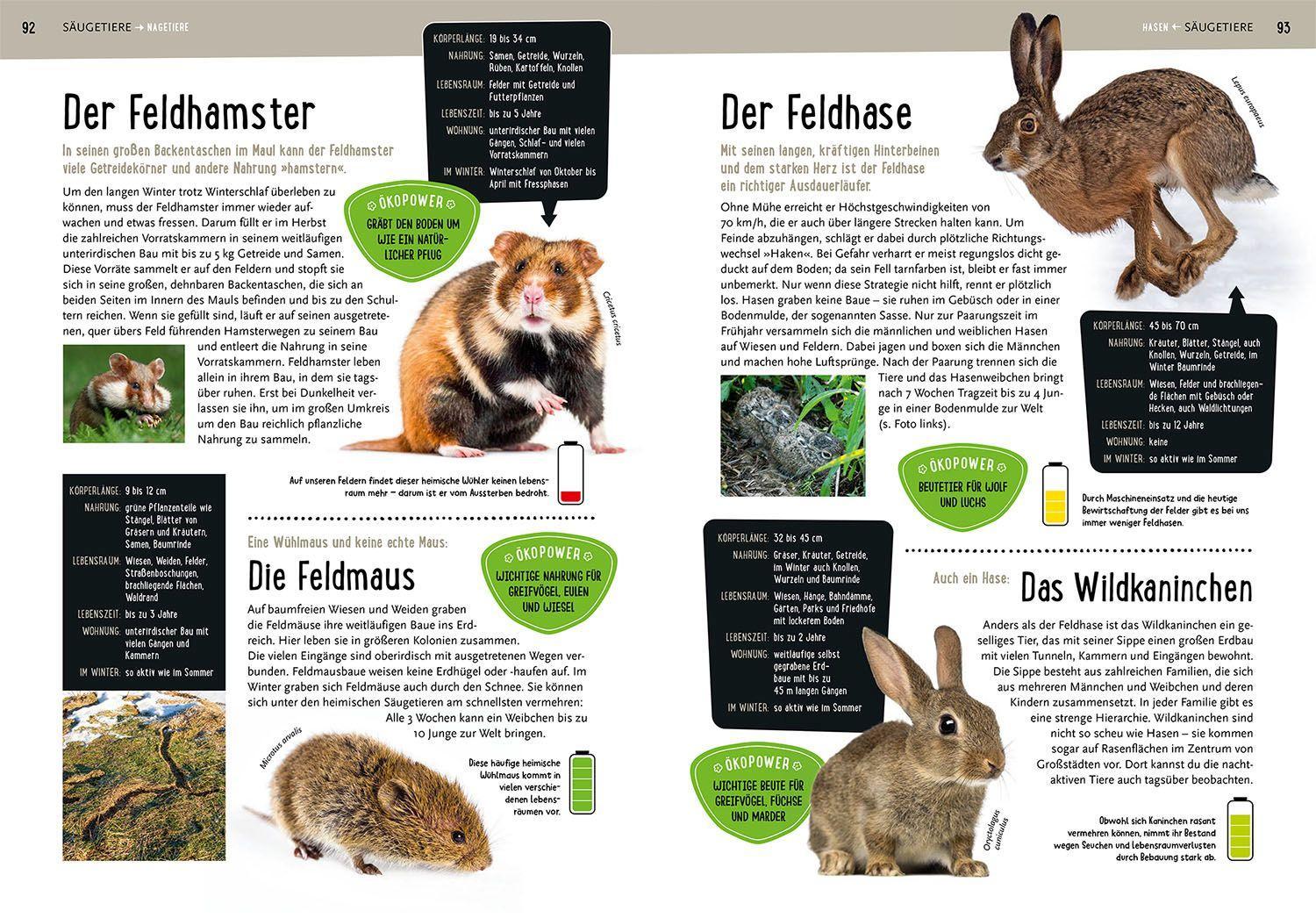 Beispielinhalt (Bild) Mein Kosmos-Buch Natur