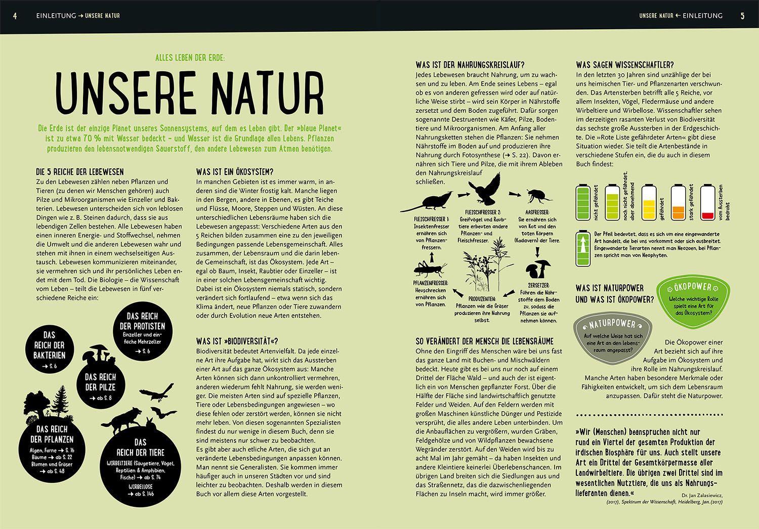 Beispielinhalt (Bild) Mein Kosmos-Buch Natur