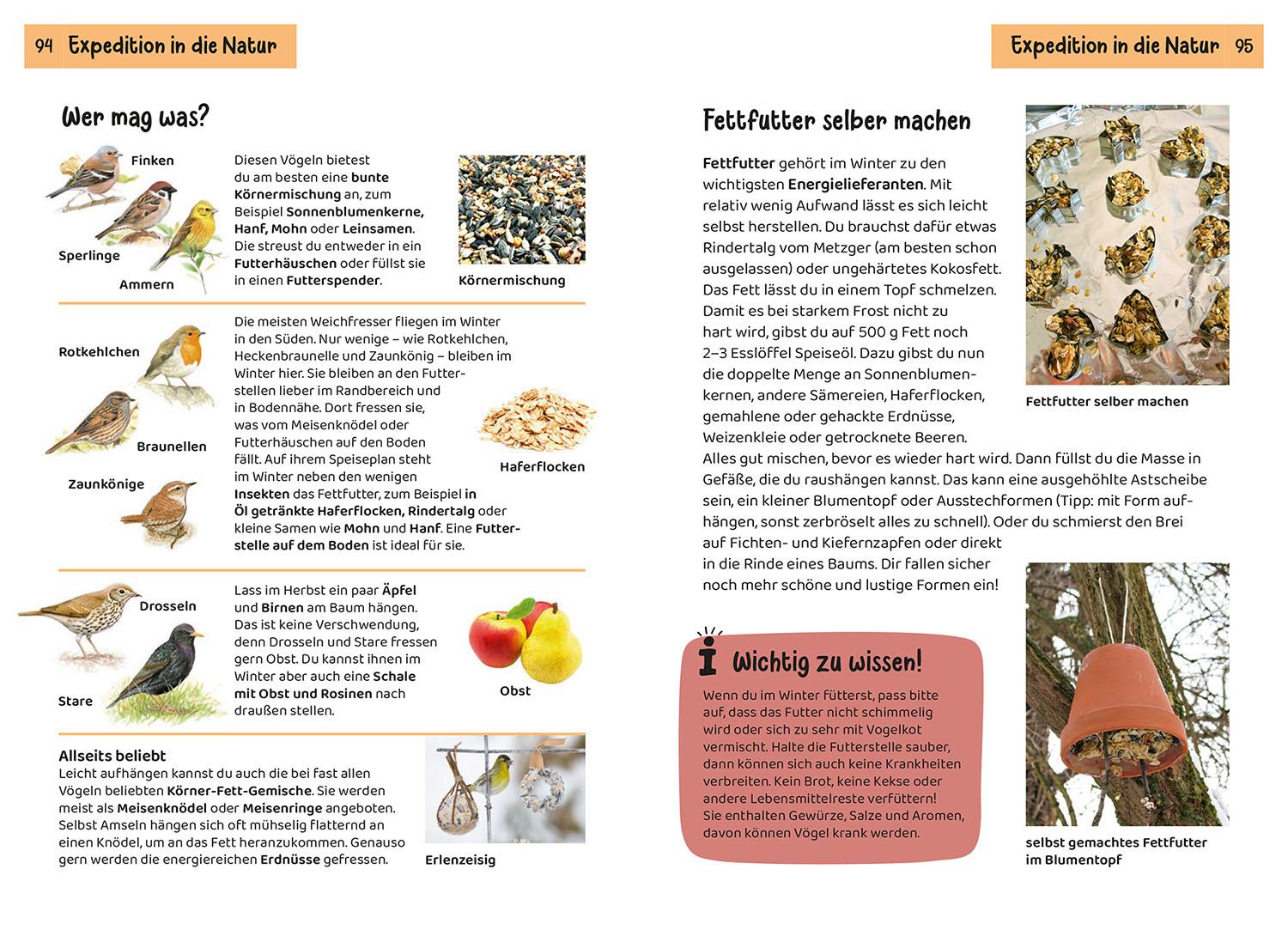 Beispielinhalt (Bild) Welcher Gartenvogel ist das? Kindernaturführer