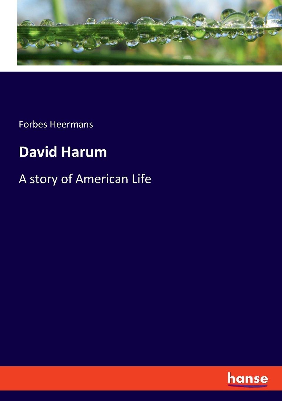 Vorderes Coverbild David Harum