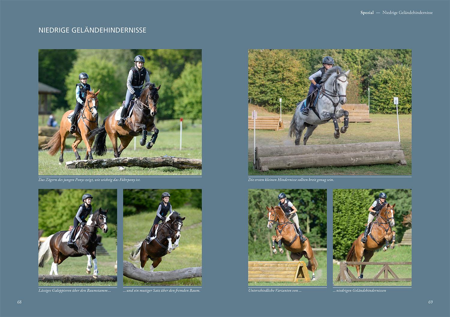 Beispielinhalt (Bild) Reiten im Gelände