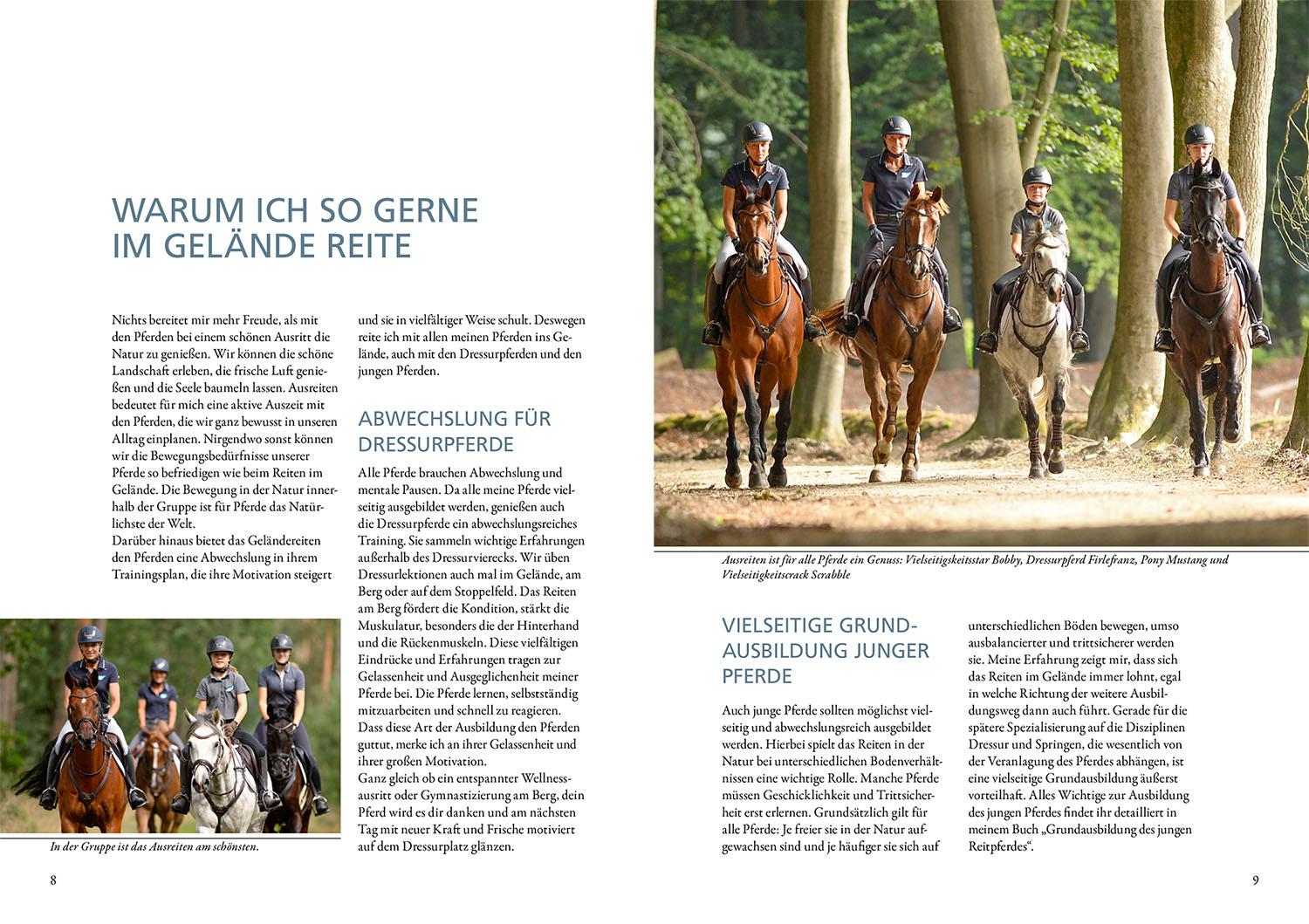 Beispielinhalt (Bild) Reiten im Gelände