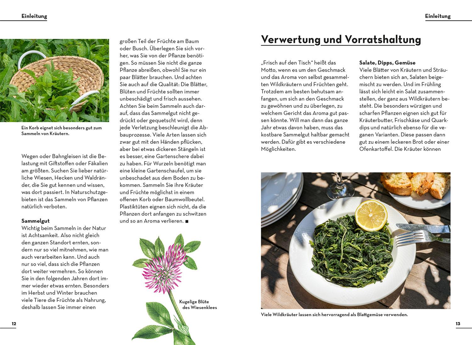 Beispielinhalt (Bild) Einfach Essbar