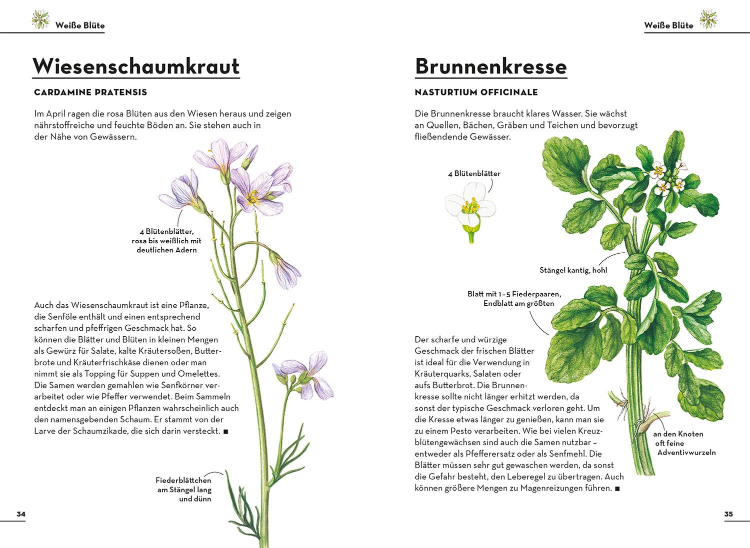 Beispielinhalt (Bild) Einfach Essbar