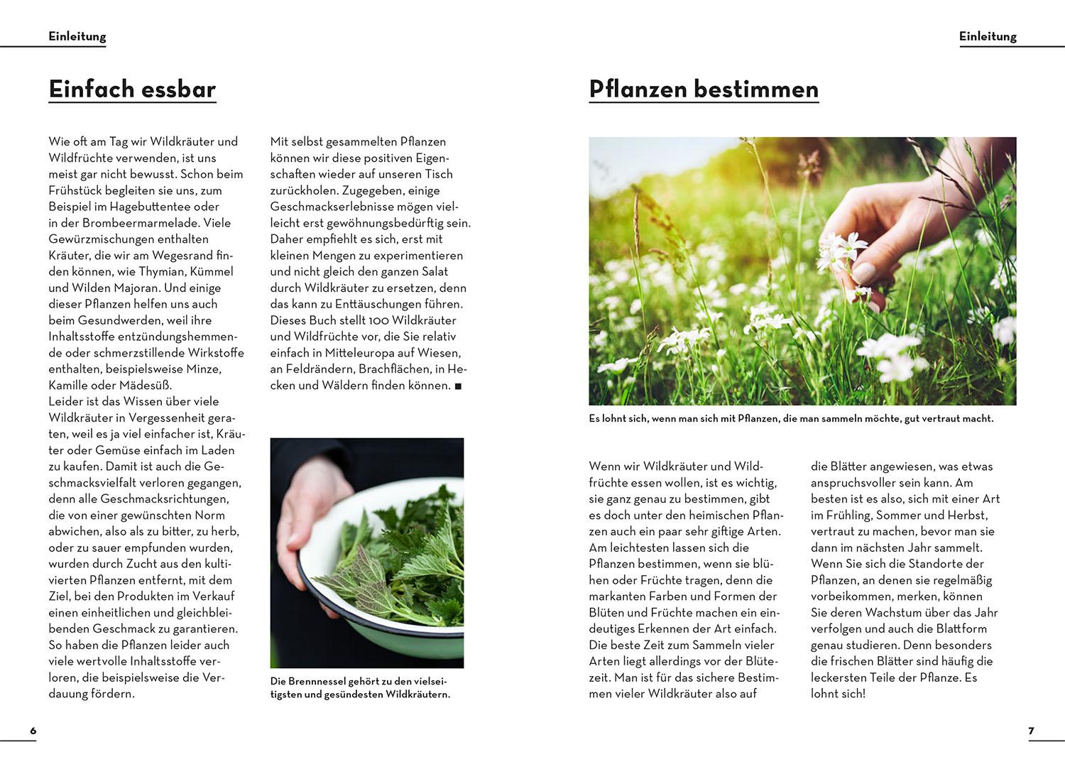 Beispielinhalt (Bild) Einfach Essbar