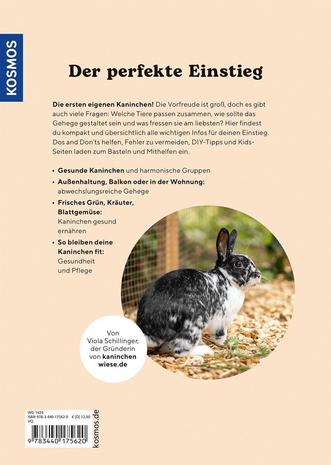 Beispielinhalt (Bild) Zwergkaninchen