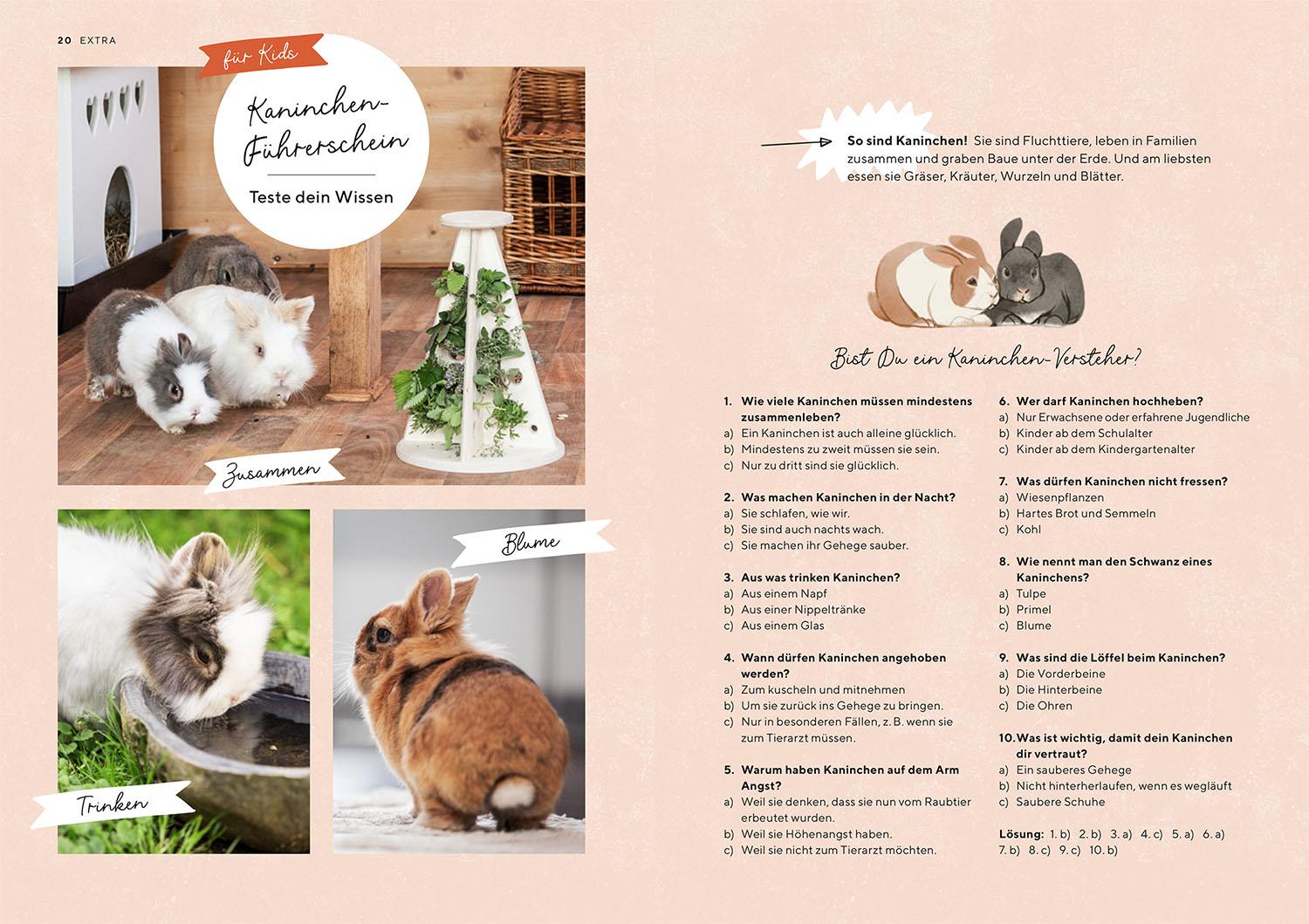 Beispielinhalt (Bild) Zwergkaninchen