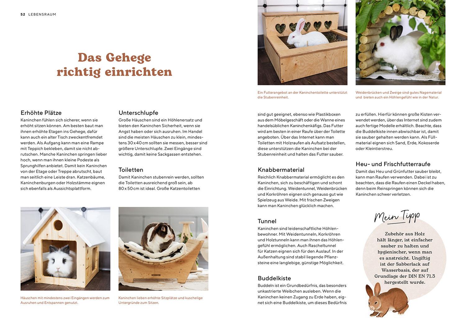 Beispielinhalt (Bild) Zwergkaninchen