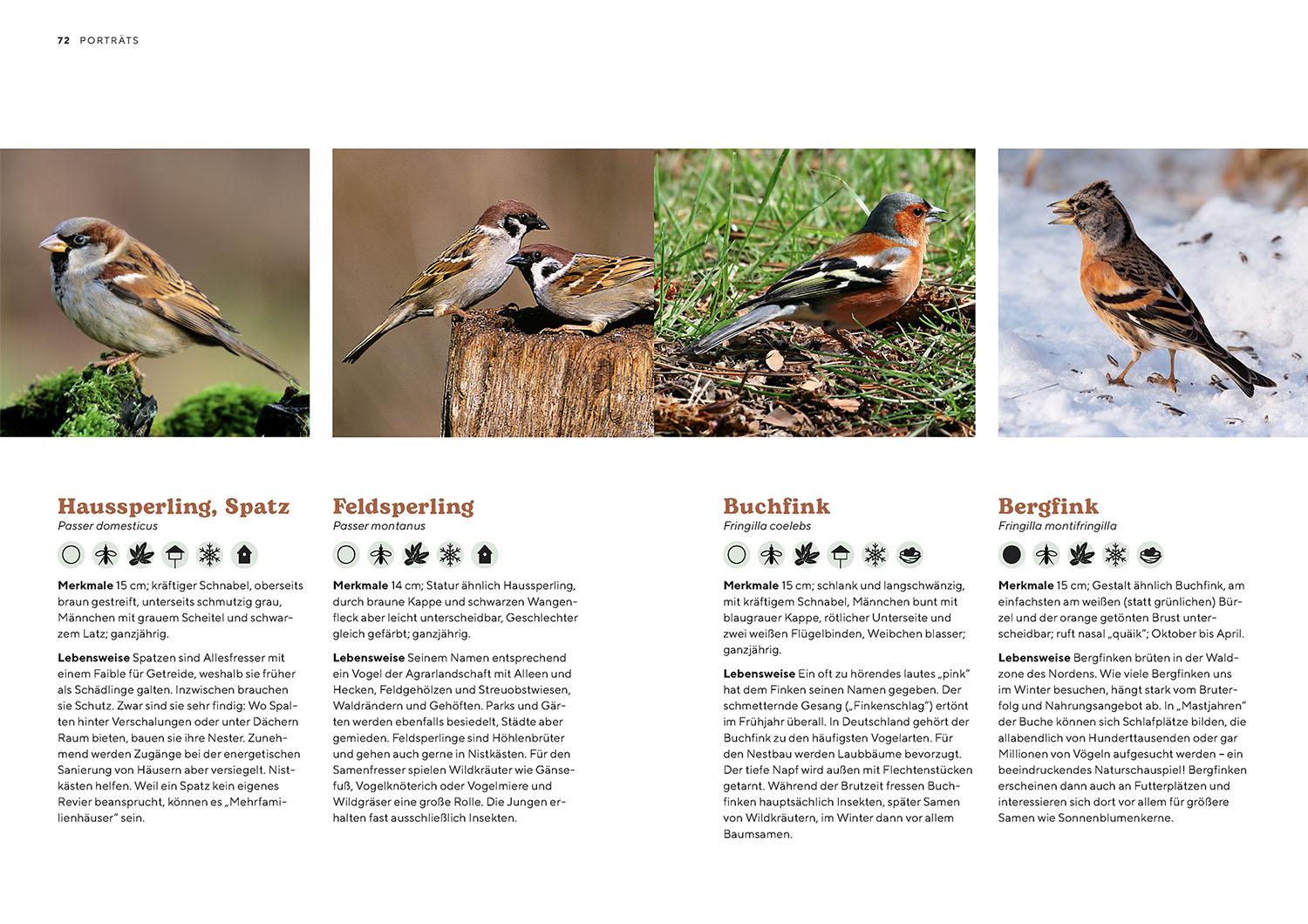 Beispielinhalt (Bild) Vogelparadies Garten