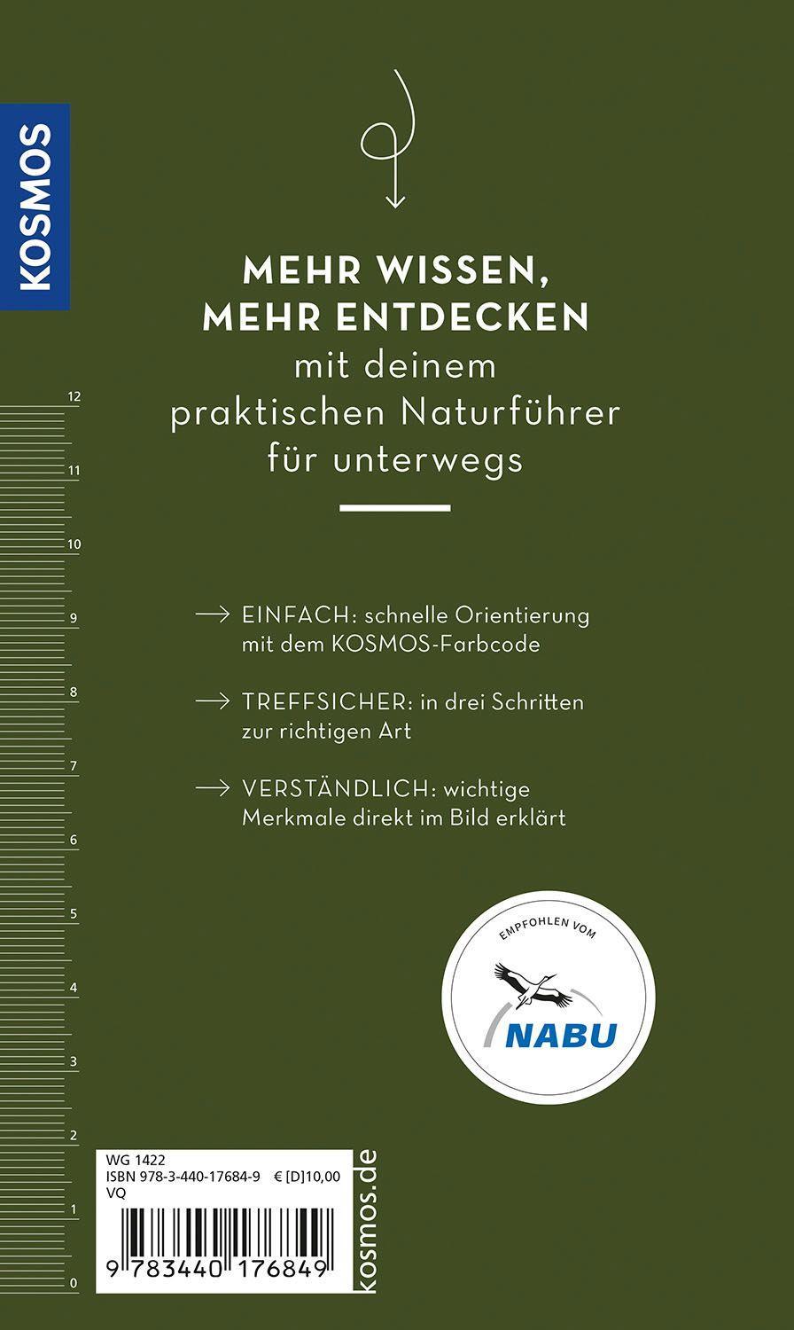 Beispielinhalt (Bild) Basic Wald
