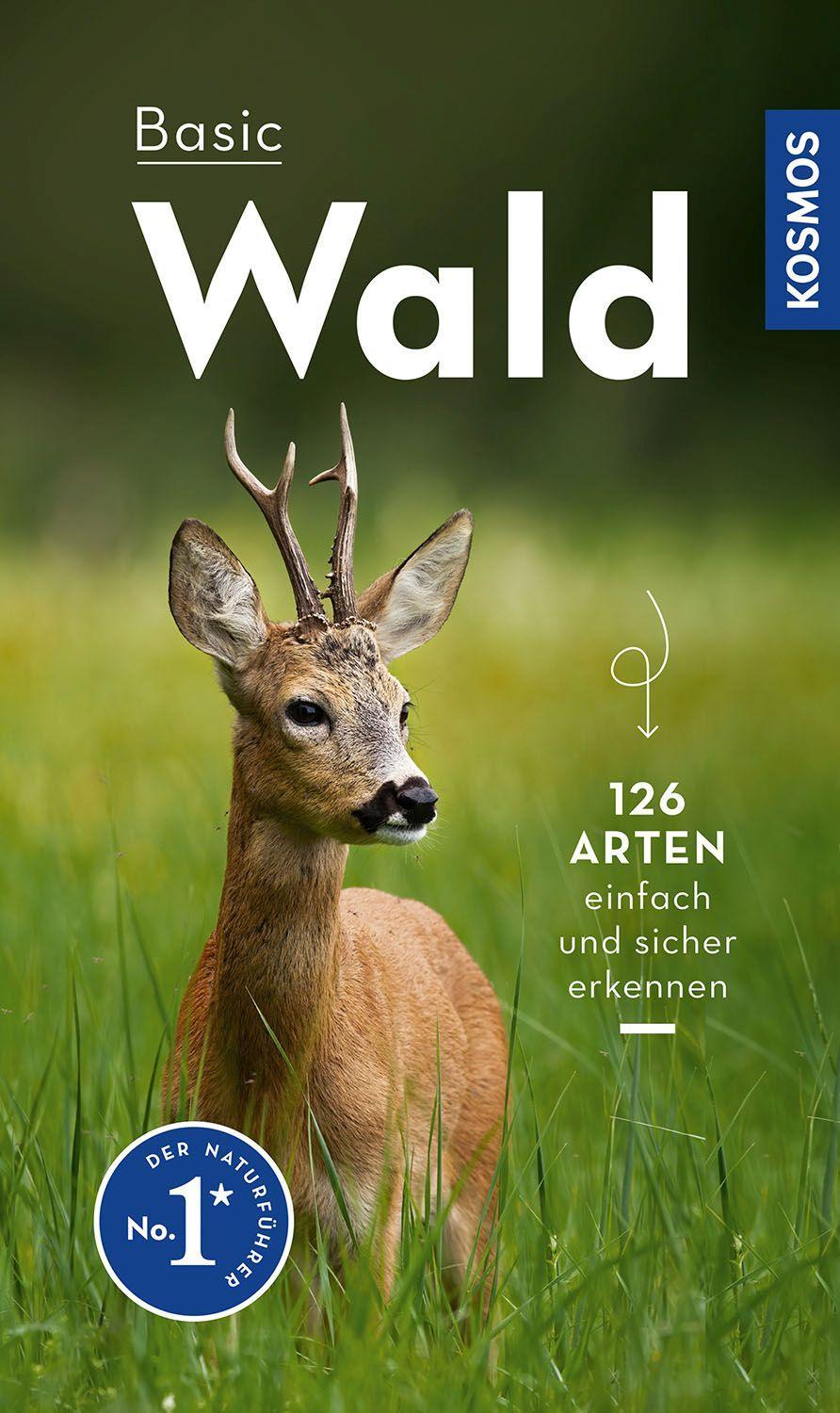 Vorderes Coverbild Basic Wald
