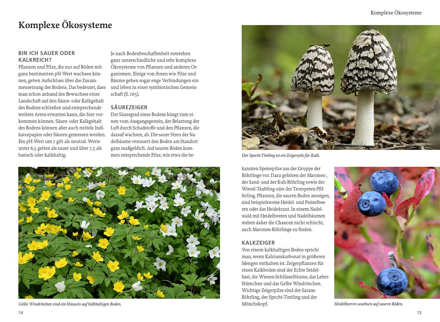 Beispielinhalt (Bild) Unsere essbare Natur