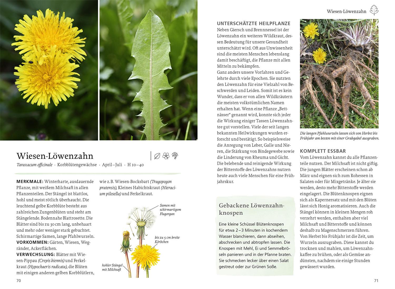 Beispielinhalt (Bild) Unsere essbare Natur