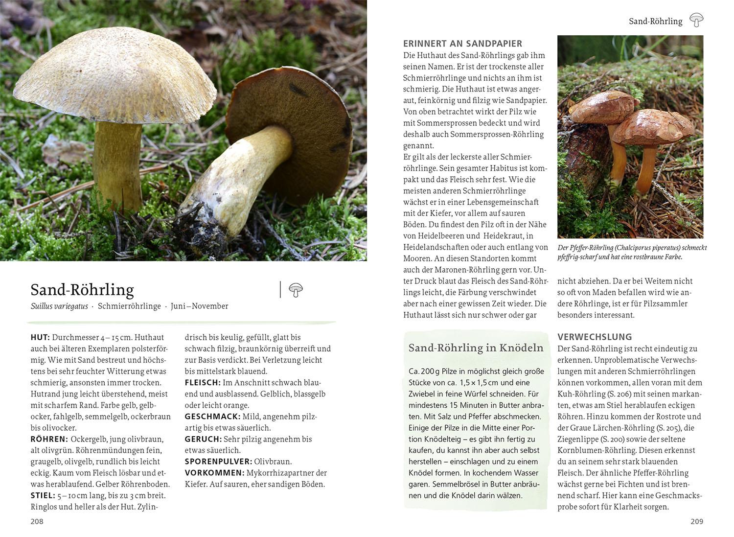Beispielinhalt (Bild) Unsere essbare Natur