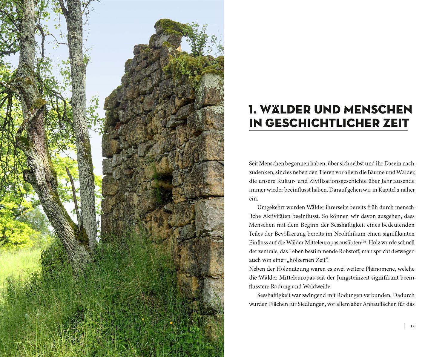 Beispielinhalt (Bild) Die Sache mit dem Wald