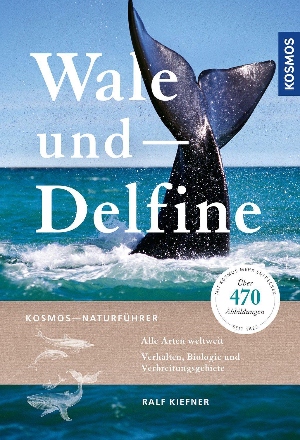 Vorderes Coverbild Wale und Delfine