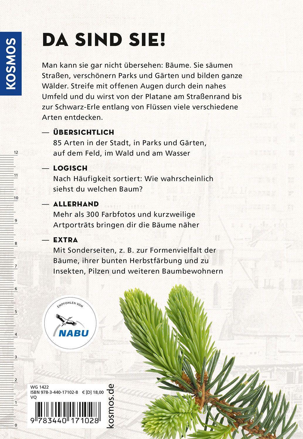 Beispielinhalt (Bild) Die siehst du! Bäume