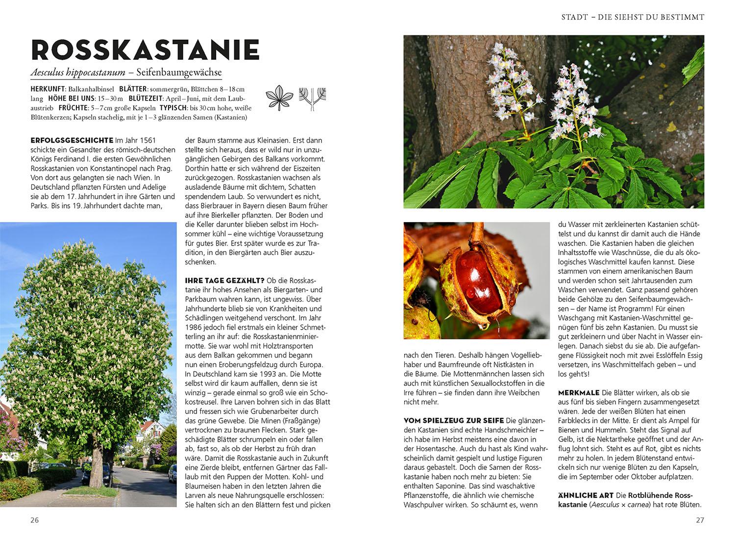 Beispielinhalt (Bild) Die siehst du! Bäume