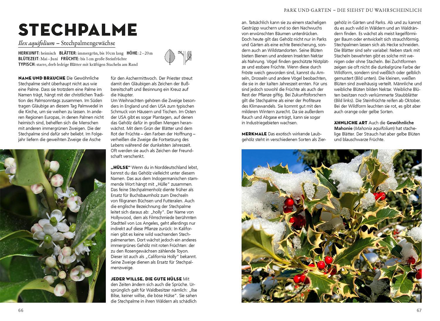 Beispielinhalt (Bild) Die siehst du! Bäume