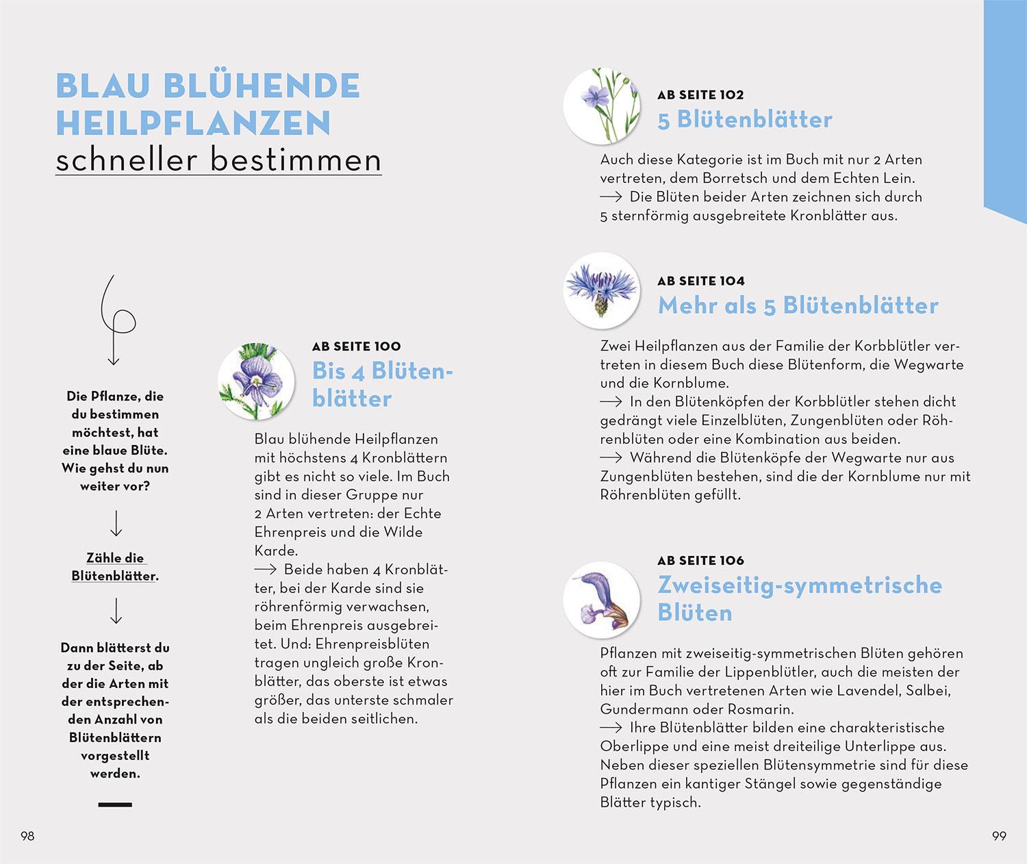Beispielinhalt (Bild) Basic Heilpflanzen