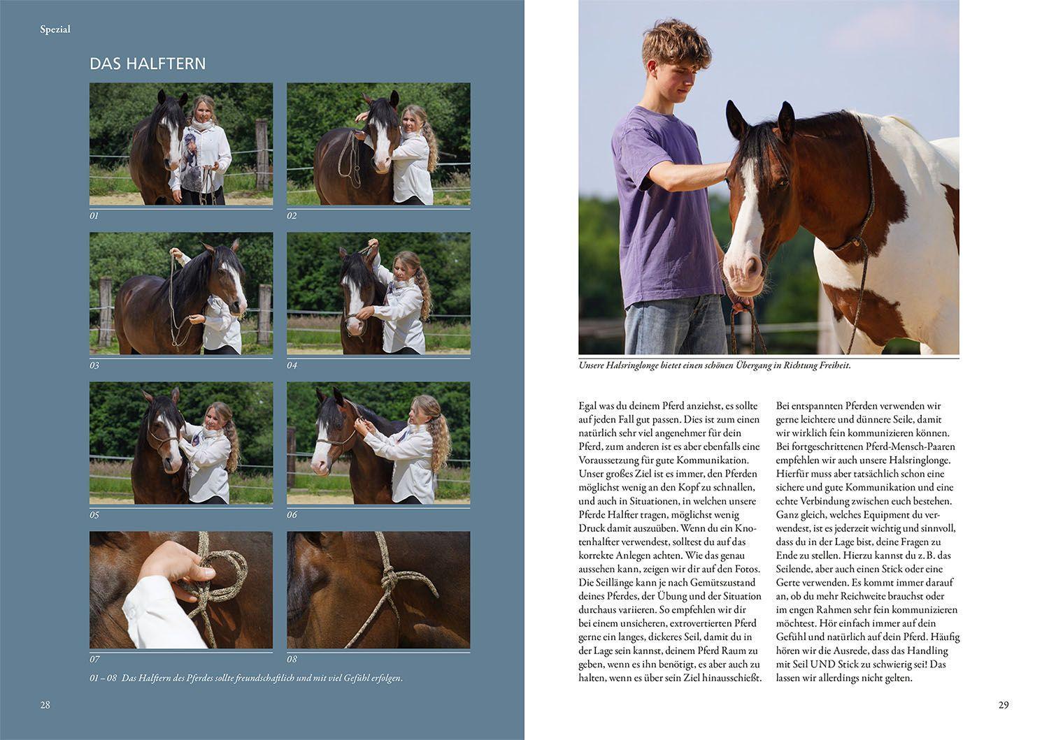 Beispielinhalt (Bild) Horsemanship lernen mit Jenny und Peer