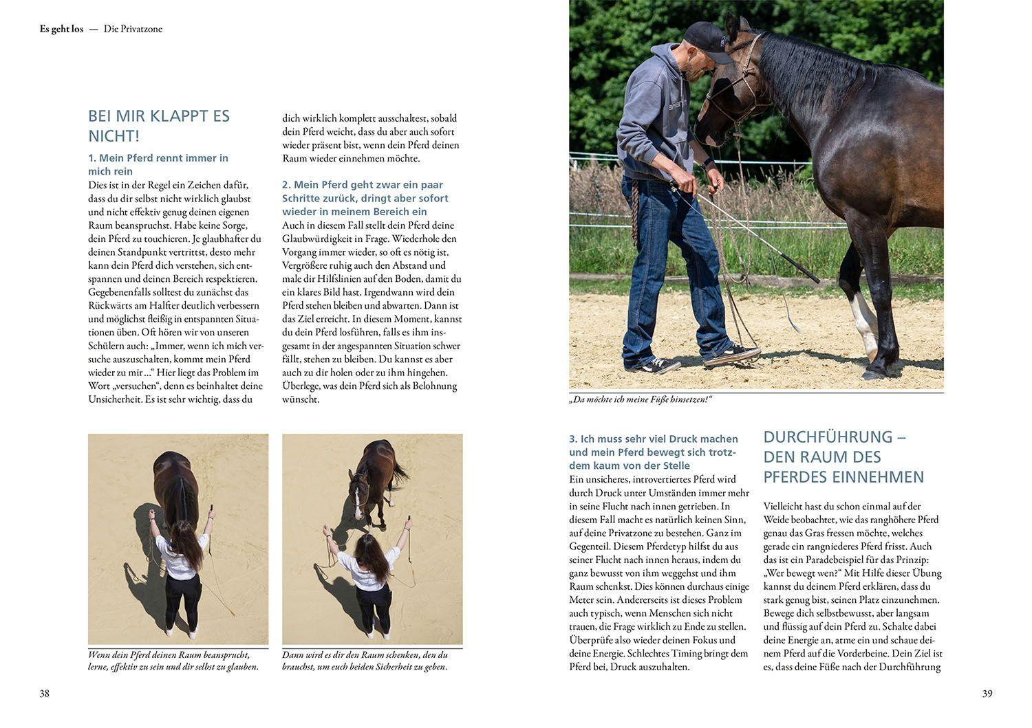 Beispielinhalt (Bild) Horsemanship lernen mit Jenny und Peer