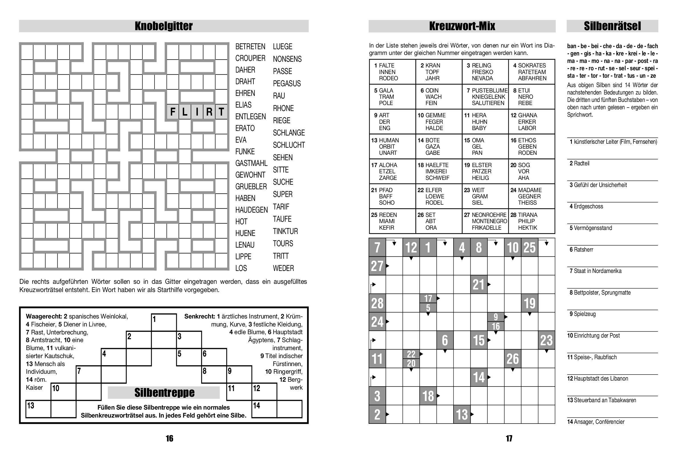 Beispielinhalt (Bild) Großschrift Rätselmix