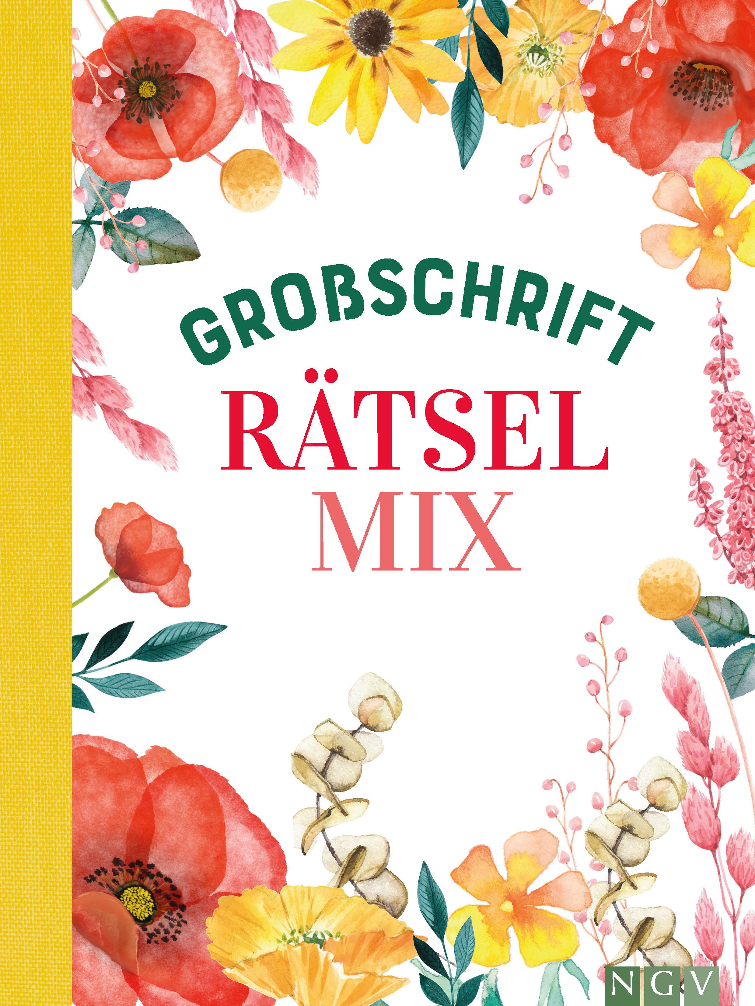 Vorderes Coverbild Großschrift Rätselmix