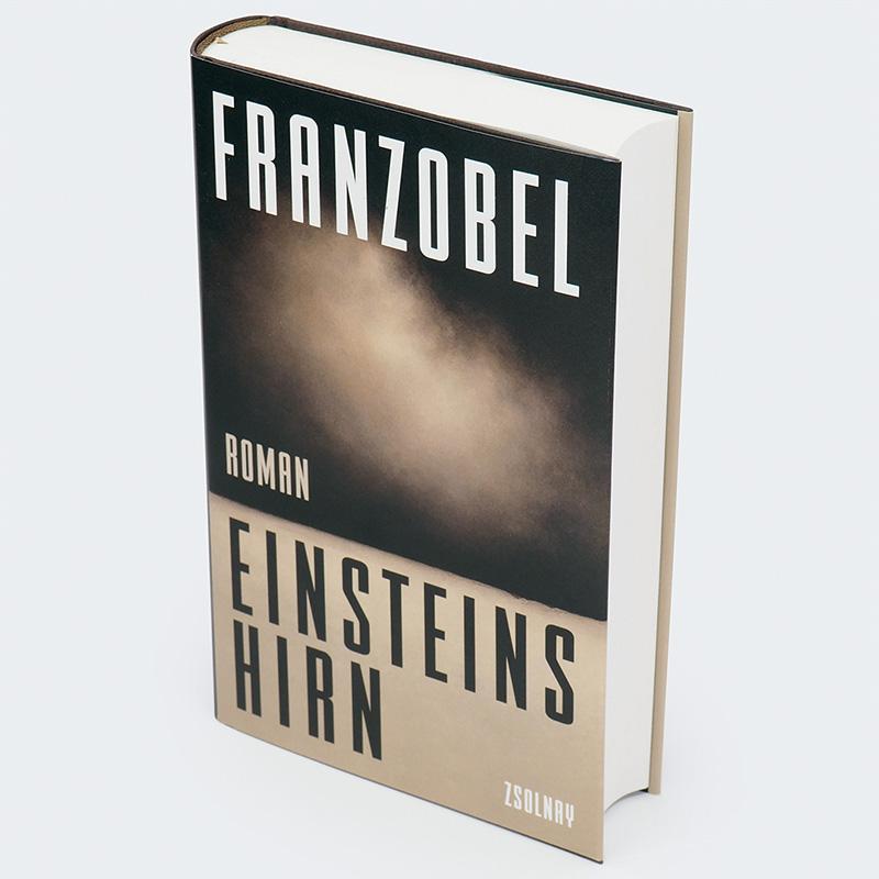 Beispielinhalt (Bild) Einsteins Hirn