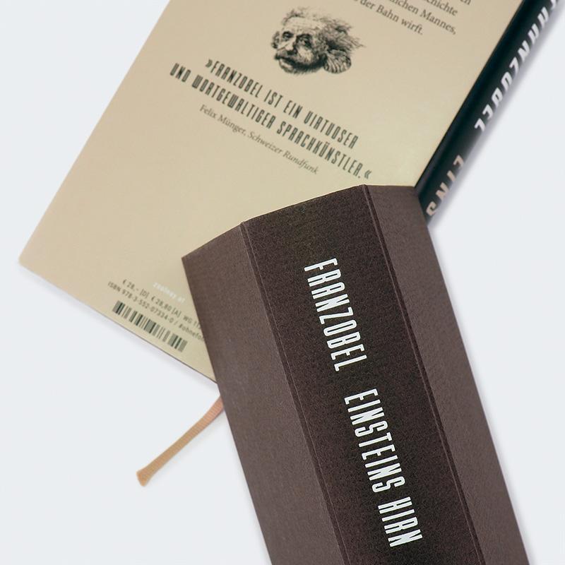 Beispielinhalt (Bild) Einsteins Hirn