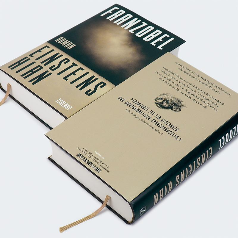 Beispielinhalt (Bild) Einsteins Hirn