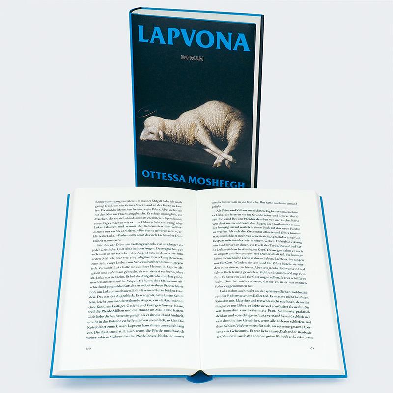 Beispielinhalt (Bild) Lapvona