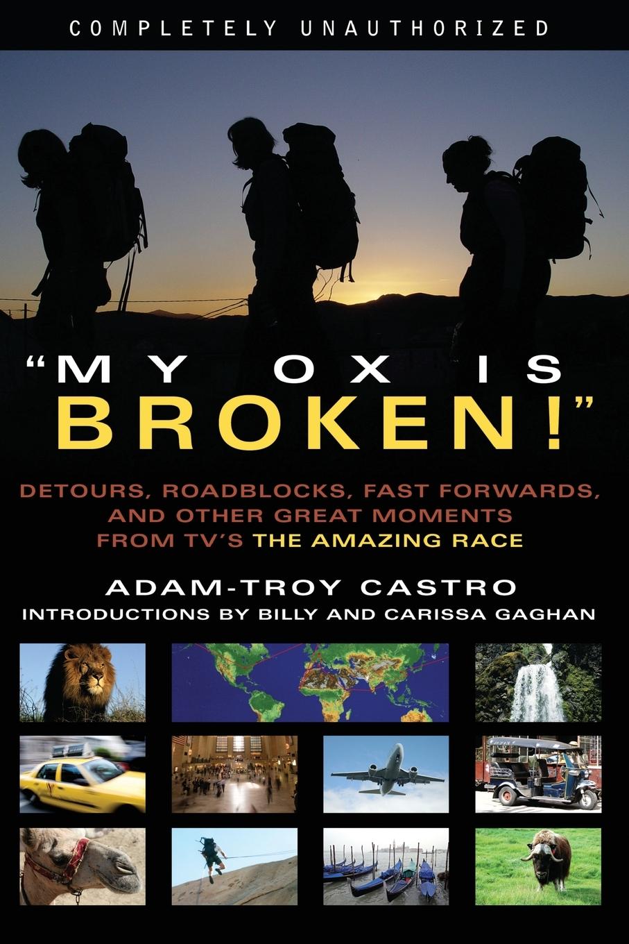 Vorderes Coverbild My Ox Is Broken!