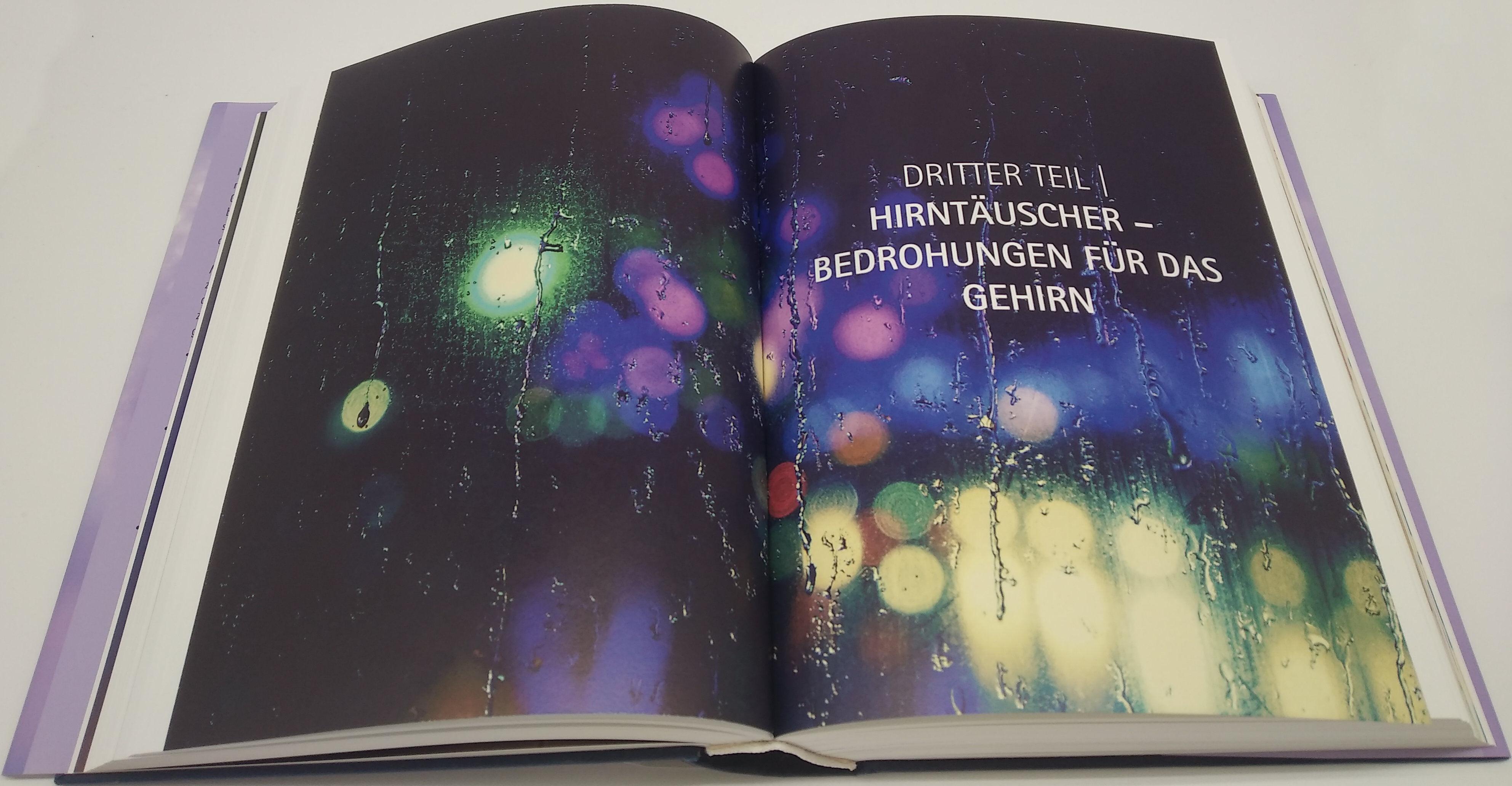 Beispielinhalt (Bild) Heile dein Gehirn - Das Basisbuch