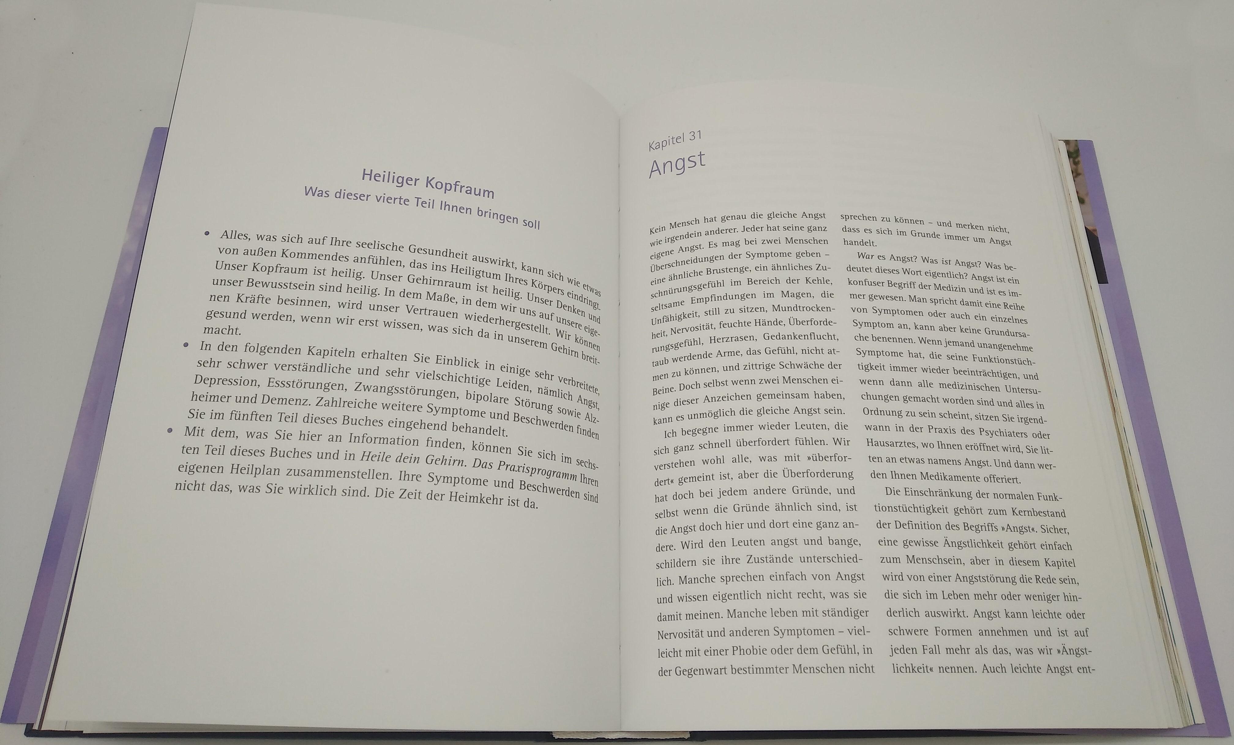 Beispielinhalt (Bild) Heile dein Gehirn - Das Basisbuch