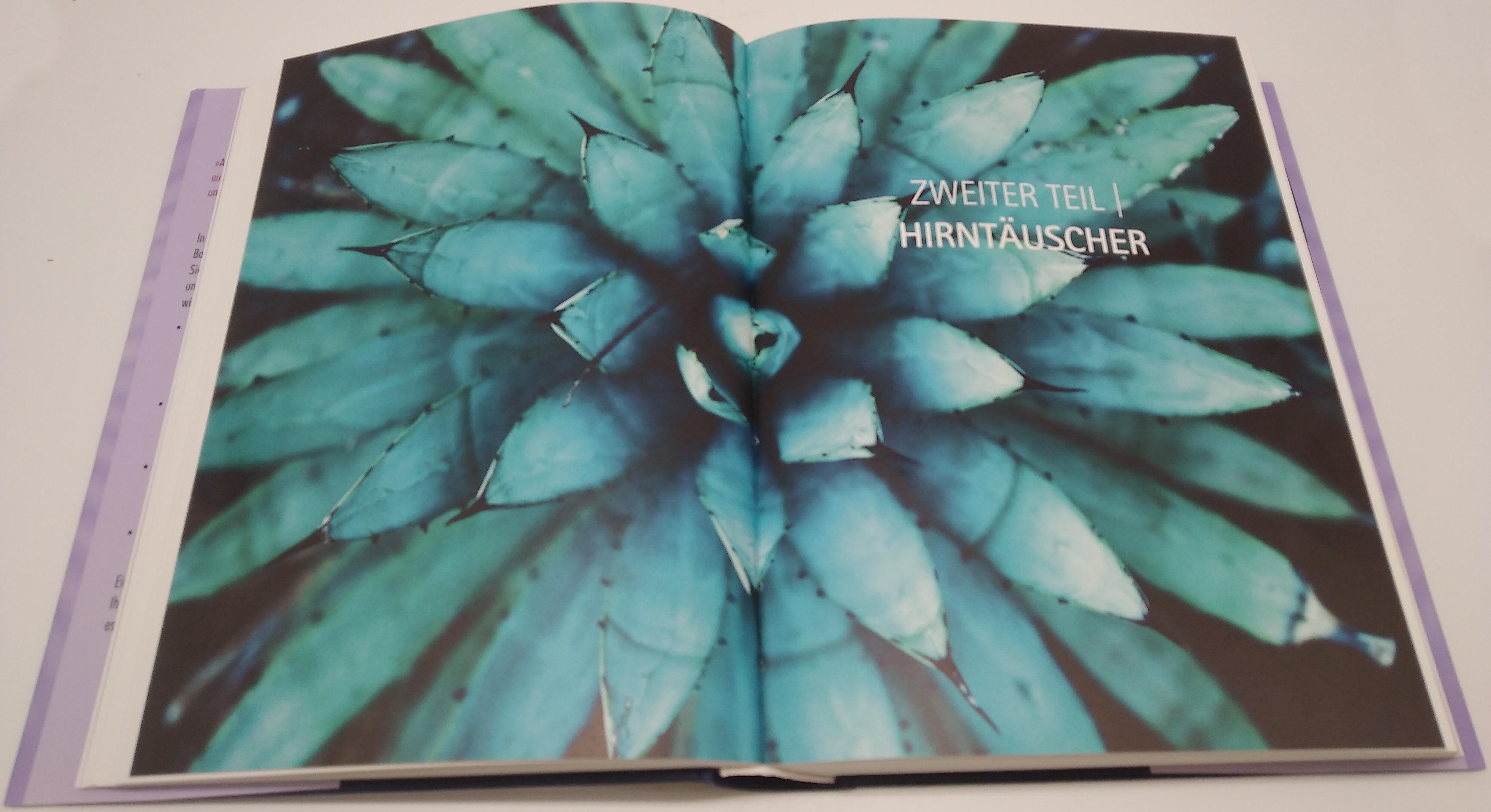 Beispielinhalt (Bild) Heile dein Gehirn - Das Praxisprogramm