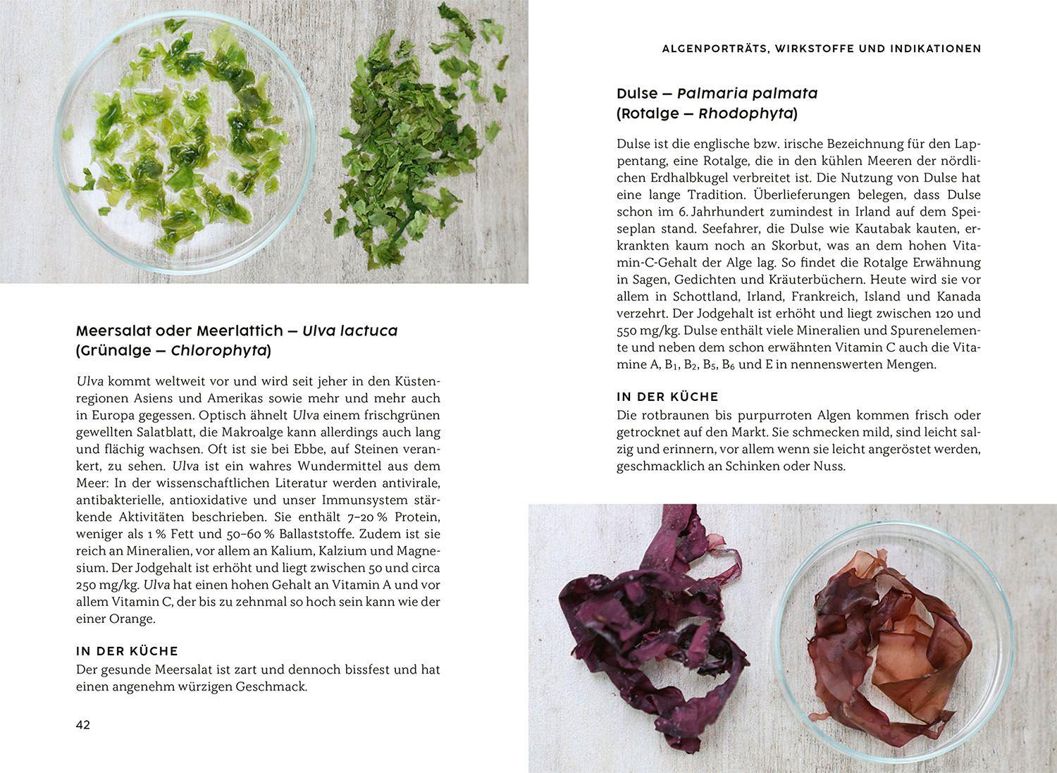 Beispielinhalt (Bild) Gesund mit Algen