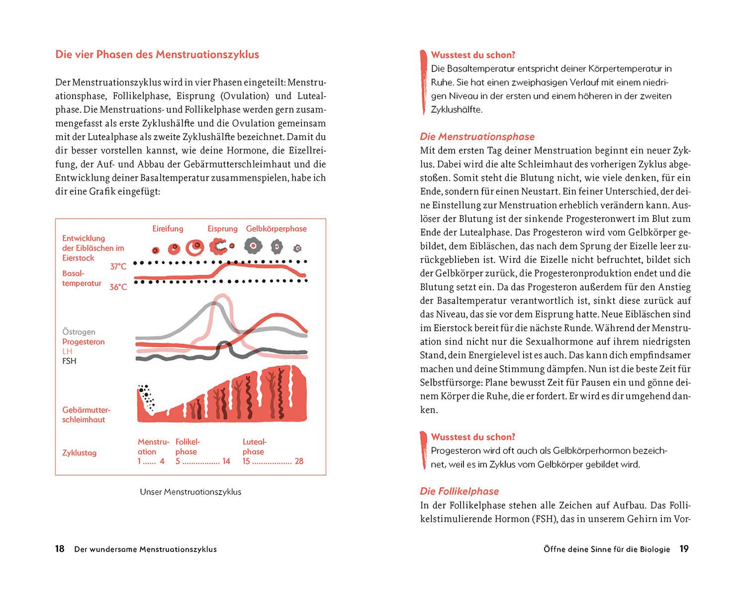Beispielinhalt (Bild) Mein PMS und ich