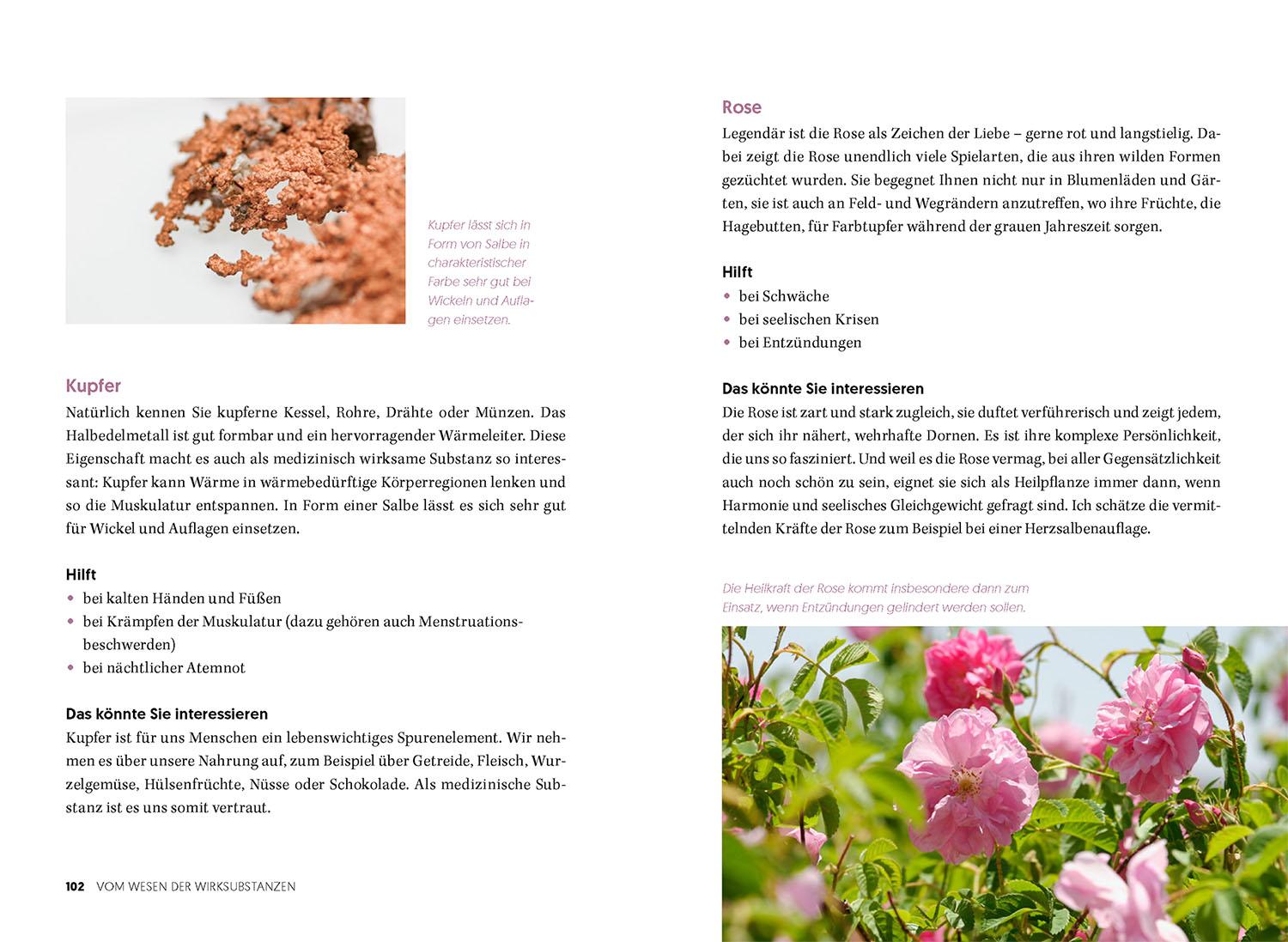 Beispielinhalt (Bild) Heilende Wickel