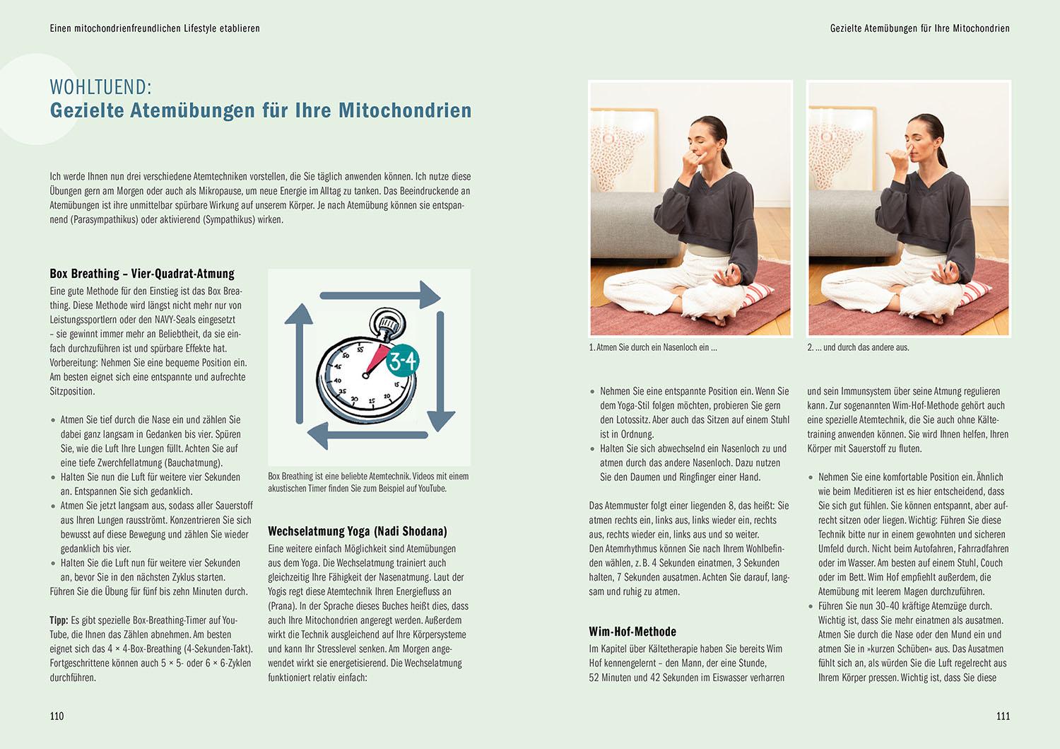 Beispielinhalt (Bild) Zell-Reset