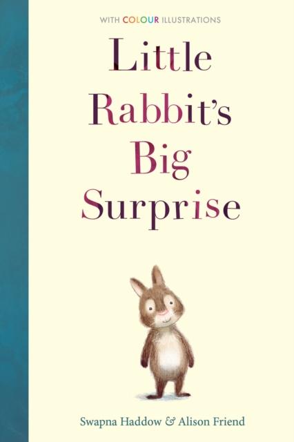 Vorderes Coverbild Little Rabbit's Big Surprise