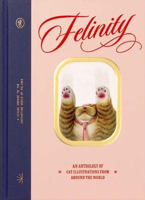 Vorderes Coverbild Felinity
