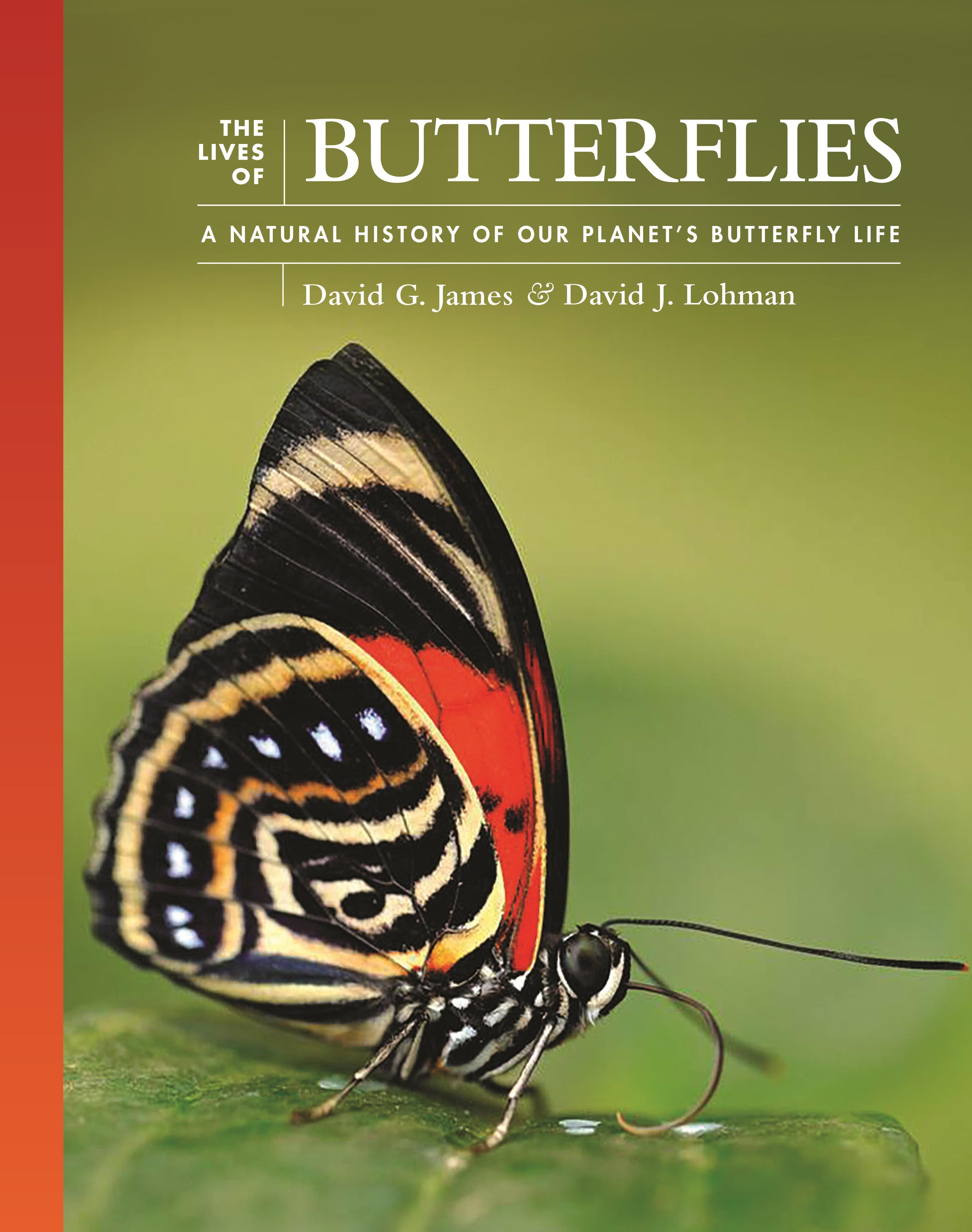 Vorderes Coverbild The Lives of Butterflies