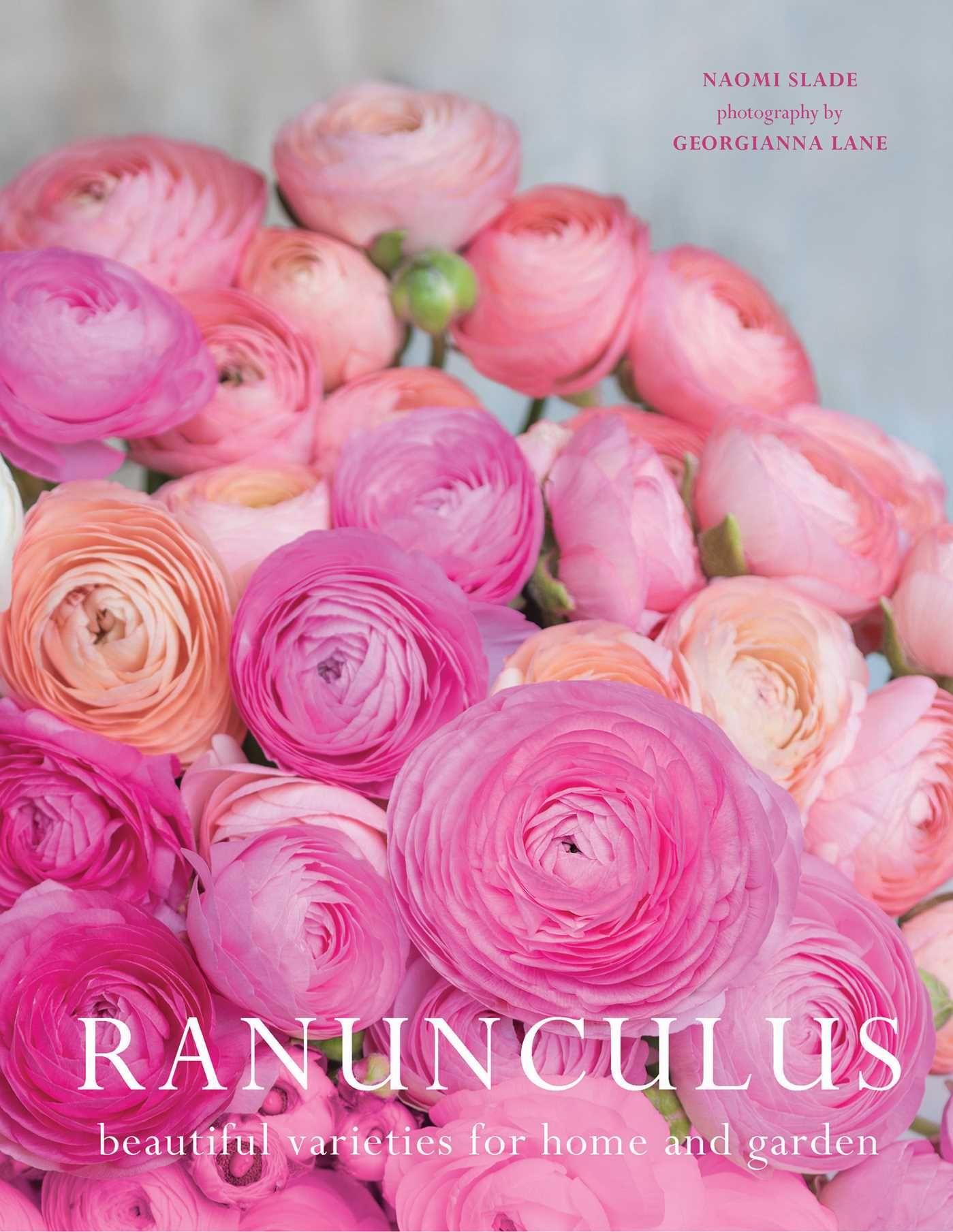 Vorderes Coverbild Ranunculus