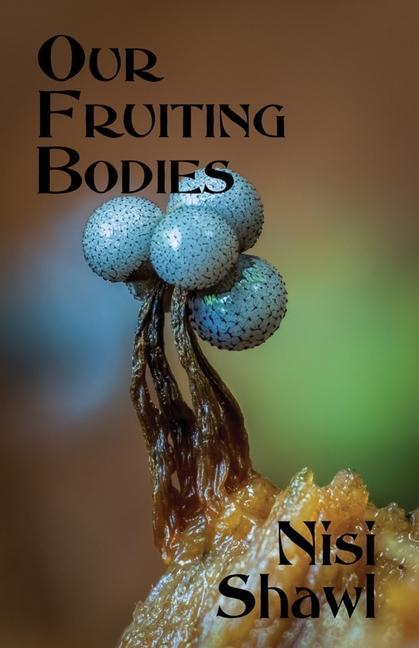 Vorderes Coverbild Our Fruiting Bodies