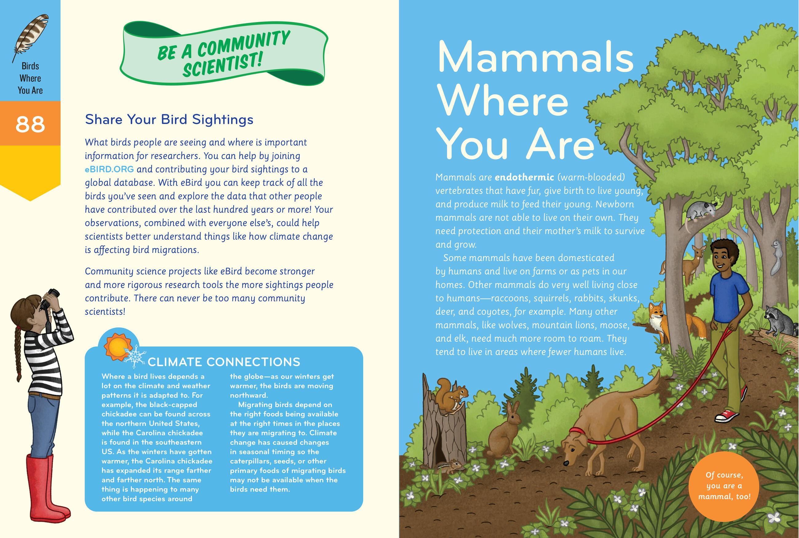 Beispielinhalt (Bild) Nature Smarts Workbook, Ages 10-12