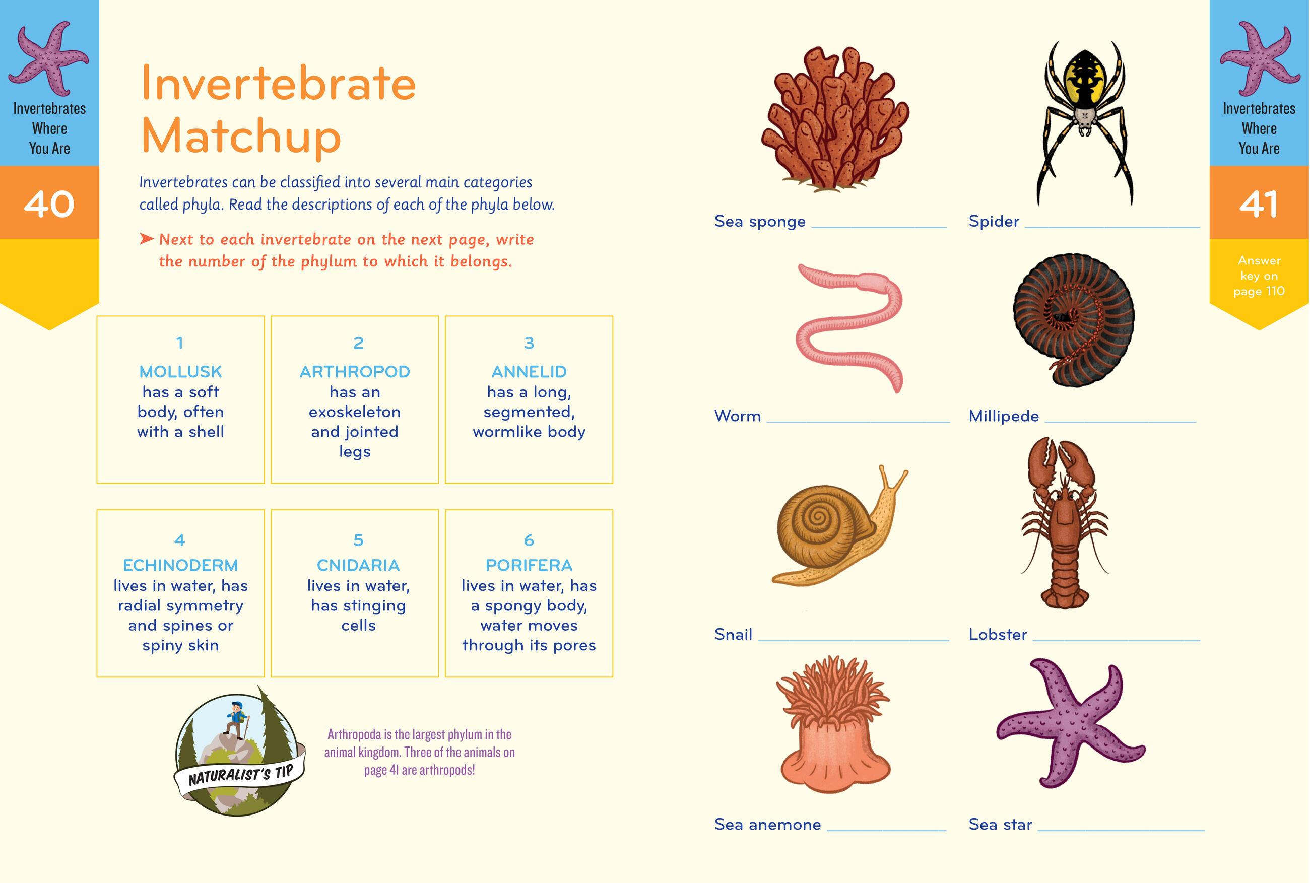 Beispielinhalt (Bild) Nature Smarts Workbook, Ages 10-12