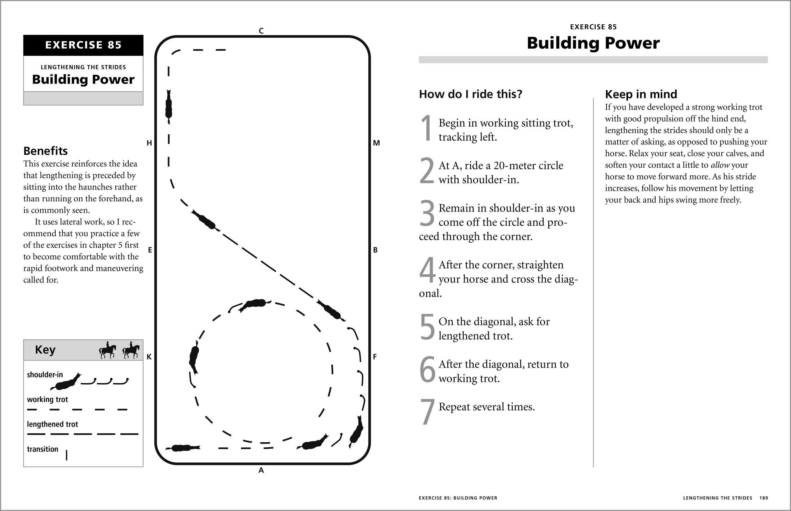 Beispielinhalt (Bild) 101 Dressage Exercises for Horse & Rider