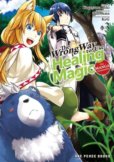 Vorderes Coverbild The Wrong Way to Use Healing Magic Volume 3